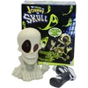Interaktyvus žaidimas The Visions of Johny The Skull, 3125