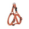 Petnešos šunims Rogz, S (270 - 380 mm x 11 mm), Oranžinės