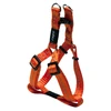 Petnešos šunims Rogz, S (270 - 380 mm x 11 mm), Oranžinės
