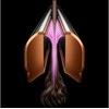 Plaukų formavimo prietaisas DYSON HT01 Airstrait ceramic pink / rose gold