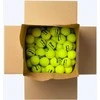 Slingerbag Slinger Dunlop Fort Xtra Life P/less, 72 ball box