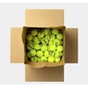 Slingerbag Slinger Dunlop Fort Xtra Life P/less, 72 ball box