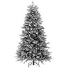 Winteria Dirbtinė eglutė Premium, žalia su baltu sniegu, 210 cm