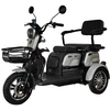 Beaster Scooter Elektrinis triratis motoroleris, BSKENDO4A, pilkas, surinktas, 500 W