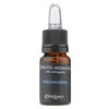 Kvepalų namams ekstraktas Erbolinea Prestige Aquamarina ERB130006, 10 ml