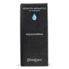 Kvepalų namams ekstraktas Erbolinea Prestige Aquamarina ERB130006, 10 ml