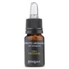 Kvepalų namams ekstraktas Erbolinea Prestige Oro Frizzante ERBT20006, 10 ml