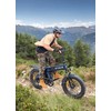 Sulankstomas elektrinis dviratis ENGWE, ENGINE PRO 3.0 BOOST, juodas, 250W