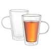 Termo stiklinės Zyle ZY1630DG 300 ml, 2 vnt