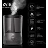 Oro drėkintuvas Zyle ZY204HG, 4,5 l