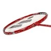 Badmintono rakečių rinkinys Wish Alumtec 5566