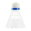 Nailoniniai badmintono plunksniukai Wish S-350 6vnt.