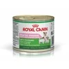 Royal Canin Starter mousse 195g konservuotas pašaras jauniems šunims
