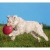 TRIXIE šunų žaislas skraidanti lėkštė, guminis, 15cm