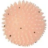 TRIXIE Kamuolys su spygliais, fosforescuojantis, vinilas, ø 10 cm