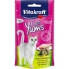 Vitakraft Chovex Sro Kačių skanėstas Cat Yums su vištiena ir kačių žole 40 g