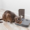 Petsafe 2 Meal Pet Feeder automatinė dviejų maitinimų šėrykla