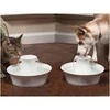 PetSafe Drinkwell Avalon fontanėlis girdykla šunims ir katėms 2L