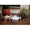 PetSafe Drinkwell Avalon fontanėlis girdykla šunims ir katėms 2L