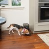 PetSafe Healthy Simply Feed programuojama skaitmeninė automatinė šėrykla šunims ir katėms