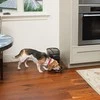PetSafe Healthy Simply Feed programuojama skaitmeninė automatinė šėrykla šunims ir katėms