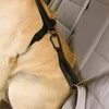 Kurgo Automobilinis diržas šuniui prisegti juodas