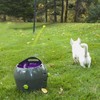 PetSafe Automatic Ball Launcher automatinis kamuoliukų mėtymo prietaisas šunims