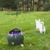 PetSafe Automatic Ball Launcher automatinis kamuoliukų mėtymo prietaisas šunims