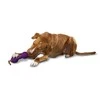 Petsafe Busy Buddy Chuckle guminis kaulas su cypuku dideliems šunims