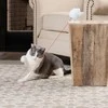 PetSafe Dancing Dot - automatinis lazerinis žaislas katėms
