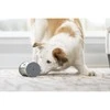 PetSafe Kibble Chase aukštųjų technologijų skanėstų dozatorius- šunų žaislas