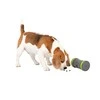 PetSafe Kibble Chase aukštųjų technologijų skanėstų dozatorius- šunų žaislas