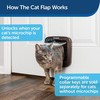 Petsafe Microchip Cat Flap durelės su mikročipu katėms ir mažiems šuniukams, rudos spalvos