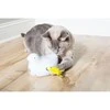 PetSafe Peek-a-Bird™ elektroninis katės žaislas