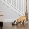 PetSafe Drinkwell 360 1,8 l vandens talpos nerūdijančio plieno girdykla - fontanas skirta katėms ir šunims girdyti