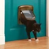 PetSafe Staywell Magnetic Deluxe Magnetinės durelės iki 7kg katėms medžio imitacija