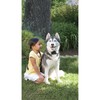 PetSafe Stubborn Dog papildomas antkaklis dideliems ir nepaklusniems šunims