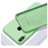 Evelatus Samsung Galaxy S10+ Nano Silikoninis dėklas Soft Touch TPU Mint
