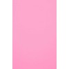 Evelatus Universal Universal Color Shinning Film for Screen Cutter Light Rožinė