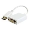 GEMBIRD A-DPM-DVIF-03-W Gembird Displayport v1.2 kištukas į DVI (24+5 kištuką) kištuką, baltas