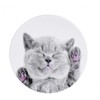 iLike Universal Pop Holder Cat
