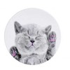 iLike Universal Pop Holder Cat