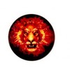 iLike Universal Pop Holder Fire Lion