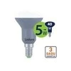 Lemputė LEDURO Energijos suvartojimas 5 vatai Šviesos srautas 400 liumenų 3000 K 220–240 V Spindulio kampas 180 laipsnių 21169