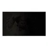 NATEC NFP-1474 privatumo filtras RODO OWL 14 colių 16:9