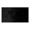 NATEC NFP-1475 privatumo filtras RODO OWL 15.6" 16:9