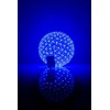 iLike Apšvietimas N/A Rutulys su gėlėmis 465 200LED D-20cm Mėlyna 15129