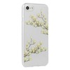 Dėklas OEM Apple Iphone Xr Jasmine Floral Case Transparent