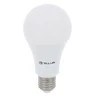 Tellur WiFi Smart Bulb E27, 10W, baltas/warm/RGB, dimmer