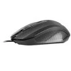 TRACER TRAMYS44875 Pelė TRACER Click USB DPI 1000 kabelis 2m.